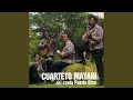 Cantando Cantando