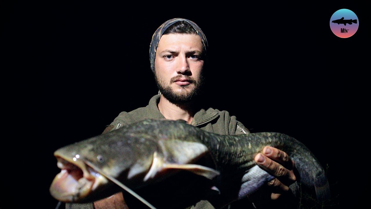 Sakarya ve Bolu Balık Avı | Sazan ve Yayın Avı | Kamp Doğa Belgesel Tadında 2021