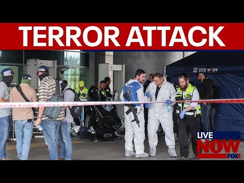 Israel-Hamas war: Haifa
