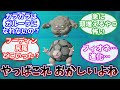 今でも都市伝説のように語られている進化間違い説といえば