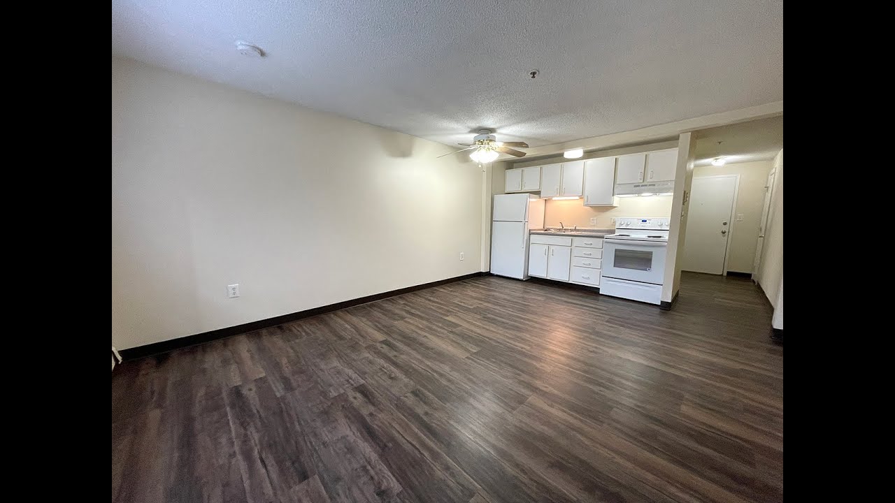 Milford Trails Studio Apartment 38 Take a narrated guided tour