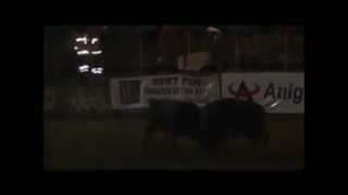 Kafkasör Festivali 2012 Boğa Güreşleri-Başaltı Final Güreşi