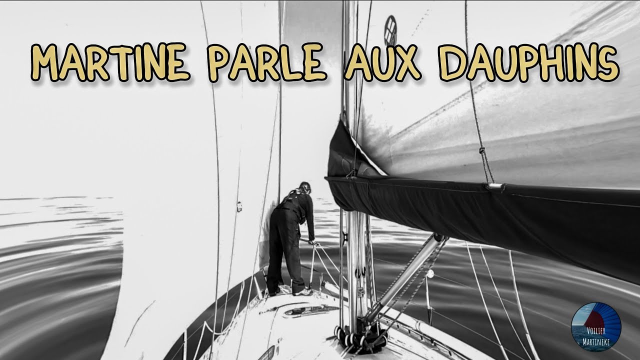 Martine parle aux dauphins @VoilierMartineke - 4K
