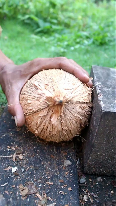 Dredging hybrid coconuts