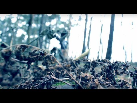 Burak Yeter - Miami Dream