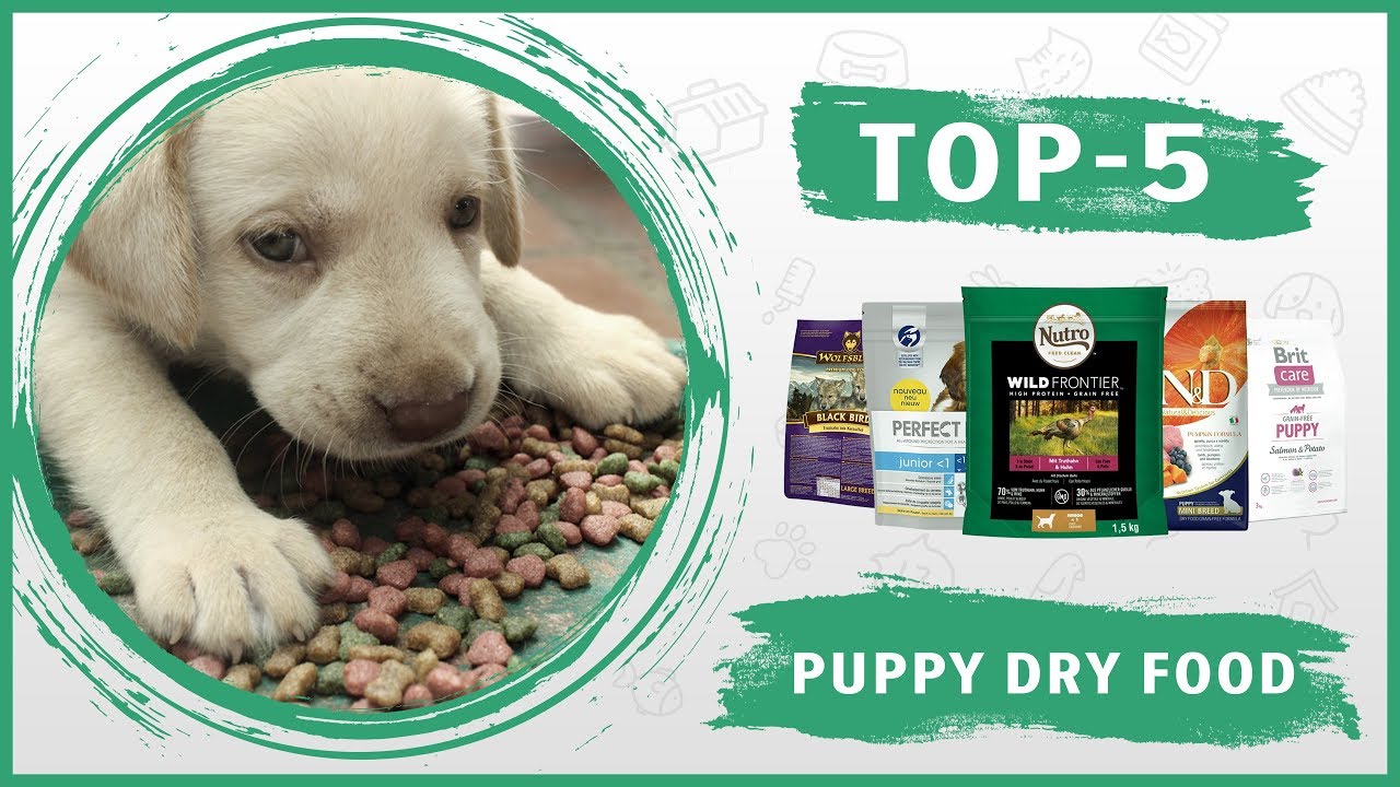 Best 🐶 Dry Food For Puppies 🐶 Review TOP 5 YouTube