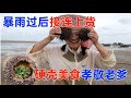 狂风暴雨过后，大梅赶海手捏猫眼螺，还收获了一对大海胆！