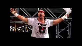 Wrestling Observer Interviews Terry Funk 2004 (RARE)