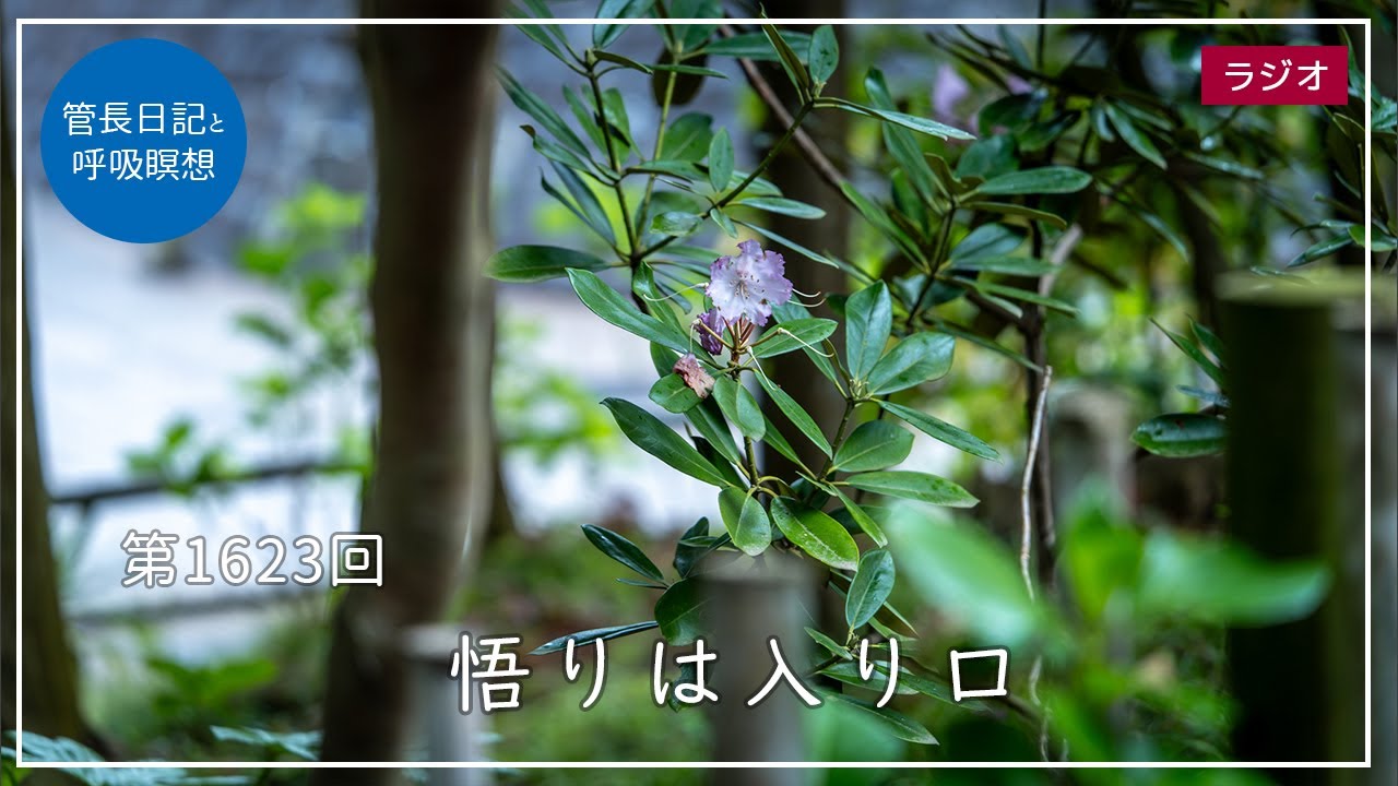 第1623回「悟りは入り口」2025/6/17【毎日の管長日記と呼吸瞑想