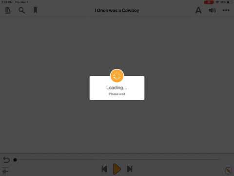 Common Accessibility Issues in EPUB Files: Introduction