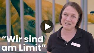 Ein Tag im Tierheim München