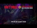 Gov't Mule - Traveling Tune (alternate version) (Bring On The Music - Live at The Capitol Theatre)