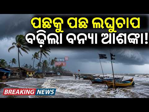 ବଢ଼ିଲା ବନ୍ୟା ଆଶଙ୍କା! Odisha Rain Alert | Low Pressures | Heavy Rain | Flood Threat | Odia News