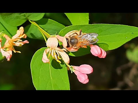 Бог создал всех нас, чтобы любить 💖💕
