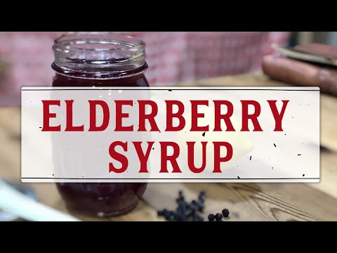 Video: Elderberry Di Kebun Dan Lemari Obat Rumah