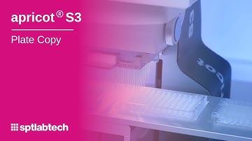 apricot S3 Plate Copy