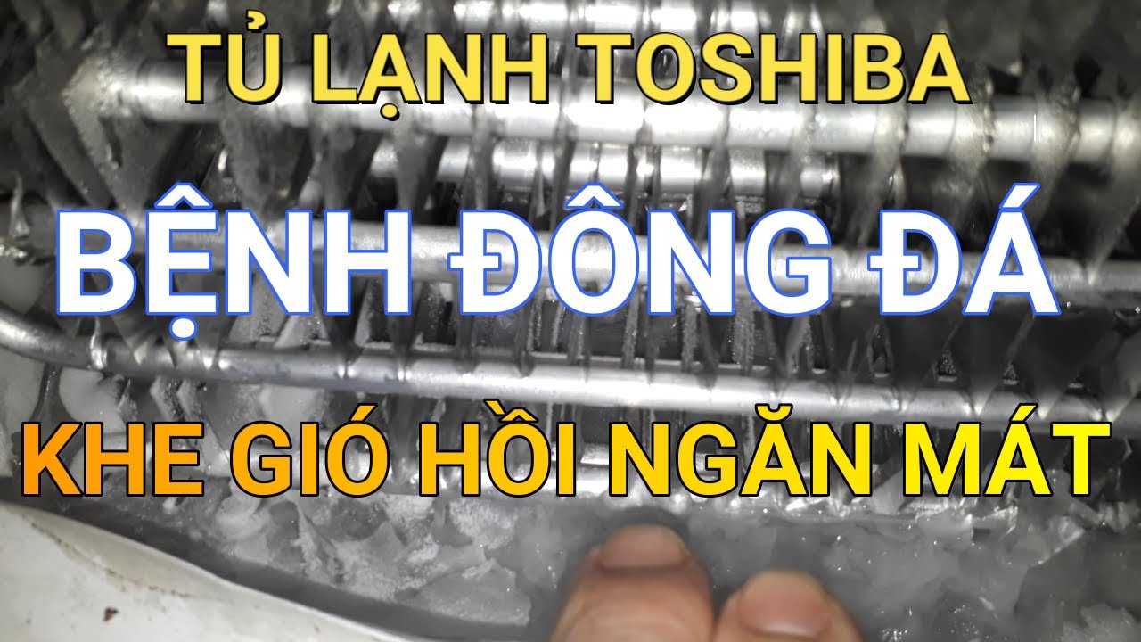 Tủ lạnh TOSHIBA đông đá khe gió hồi ngăn mát || ❤️ Điện lạnh Mai Chi ❤️
