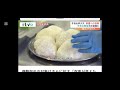 愛媛県山火事2025年3月