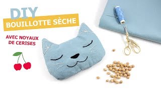 Diy Bouillotte Seche Chat Aux Noyaux De Cerises Youtube