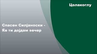 Спасен Силјаноски  - Ќе ти дојдам вечер, Текст