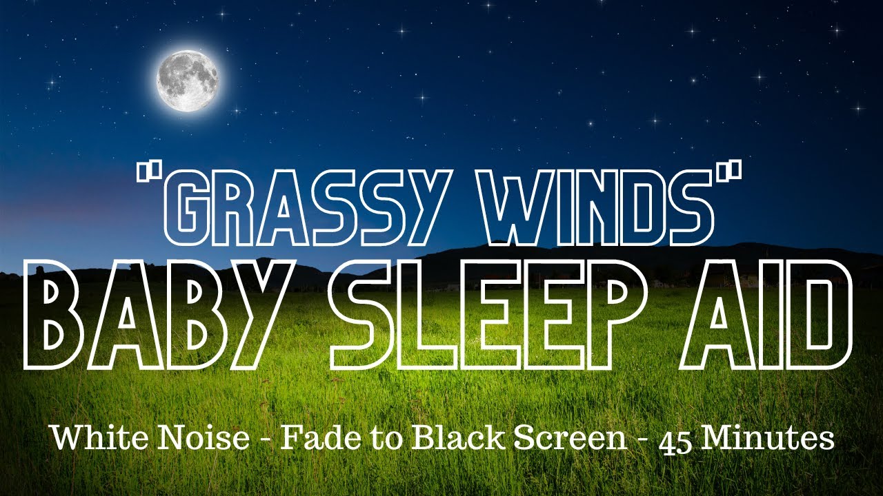Baby Sleep Aid Grassy Winds White Noise 45 Minutes Fade to