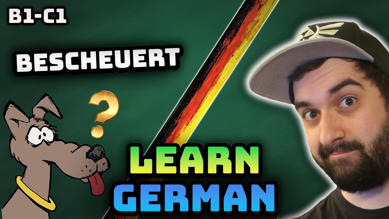 Learn German Vocabulary "Bescheuert" Explained by a Native Speaker