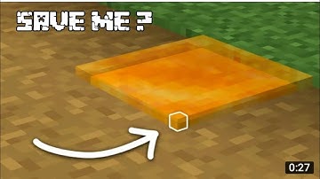 Can 1 Pixel of Honey block save me