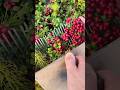 Harvest the berry ... #berry  #cranberry #blueberry