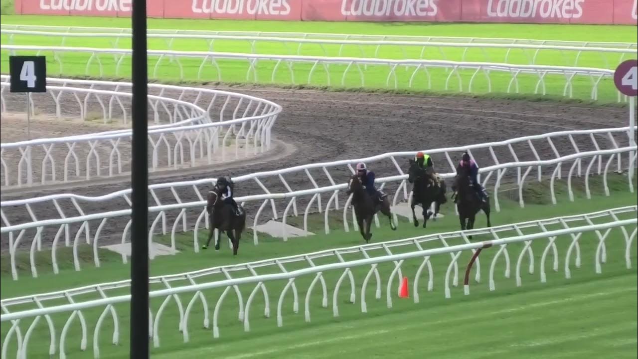 Eagle Farm Jumpouts Heat 6 800m YouTube