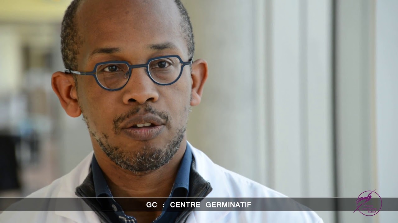 JML 2017: Types et sous types de Lymphomes