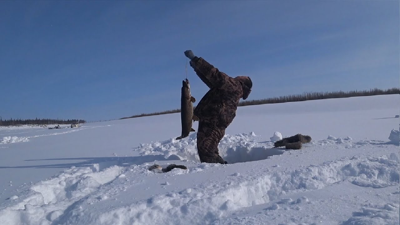 ПЕРВЫЙ В ЖИЗНИ ТРОФЕЙ СО ЛЬДА!!! БЫЛО СЛЫШНО ЗА 10 КМ.!!!