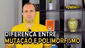 O que é polimorfismo e mutação?