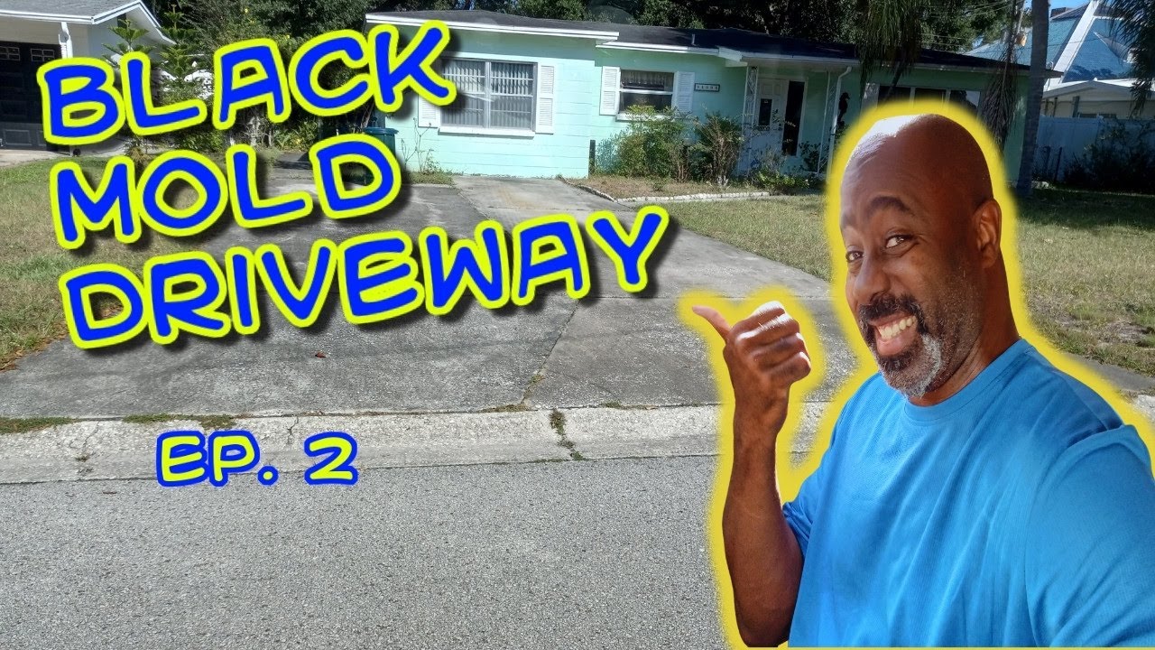 Dirty houses everywhere Ep. 2 - Stockbridge house cleaning pressure washing driveway mold removal