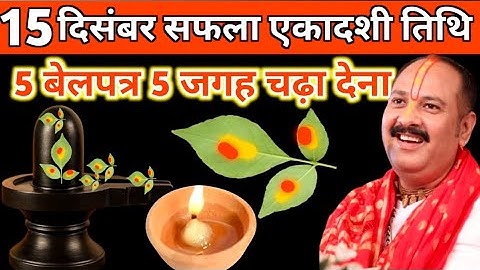 15 दिसंबर सोमवार सफला एकादशी के दिन 5 बेलपत्र वाला उपाय जरुर करें|| pandit pradeep mishra||