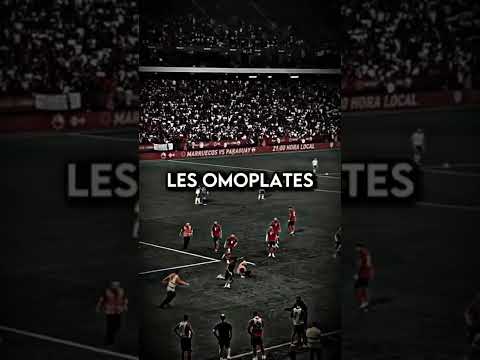 L Morphine Black Horse 