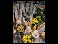 Easter Special 🐰Handmade Rabbit🐇 &amp; Nature Flowers 🌼🌼🌼🌼