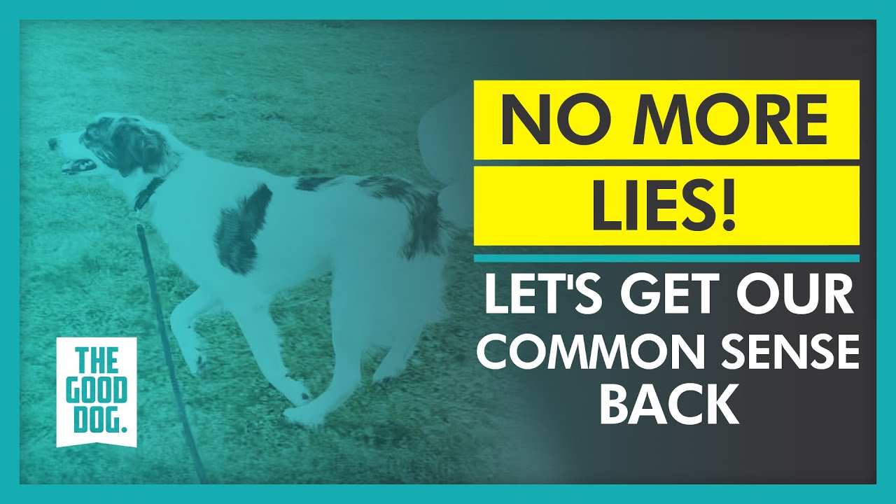 No more lies! Let's get our common sense back The Good Dog Training