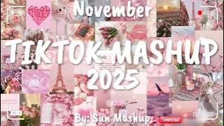 Tiktok Mashup November 💗2025💗 (Not Clean)
