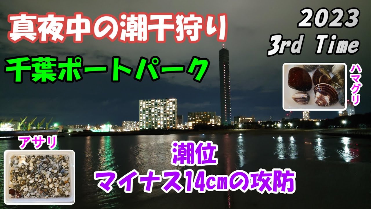 【潮干狩り】3rd time 千葉ポートパーク  あさり はまぐり トイレ・駐車場 無料 千葉港