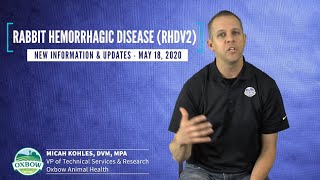 Rabbit Hemorrhagic Disease Rhdv2 New Updates 51820