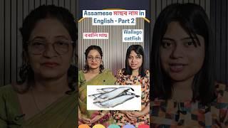 Assamese মাছৰ নাম in English - Part 2 🐟 | Fish Names Easy Learning | Spoken English #shorts