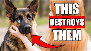 7 Ways You’re Hurting Your Dog’s Feelings Without Realizing It