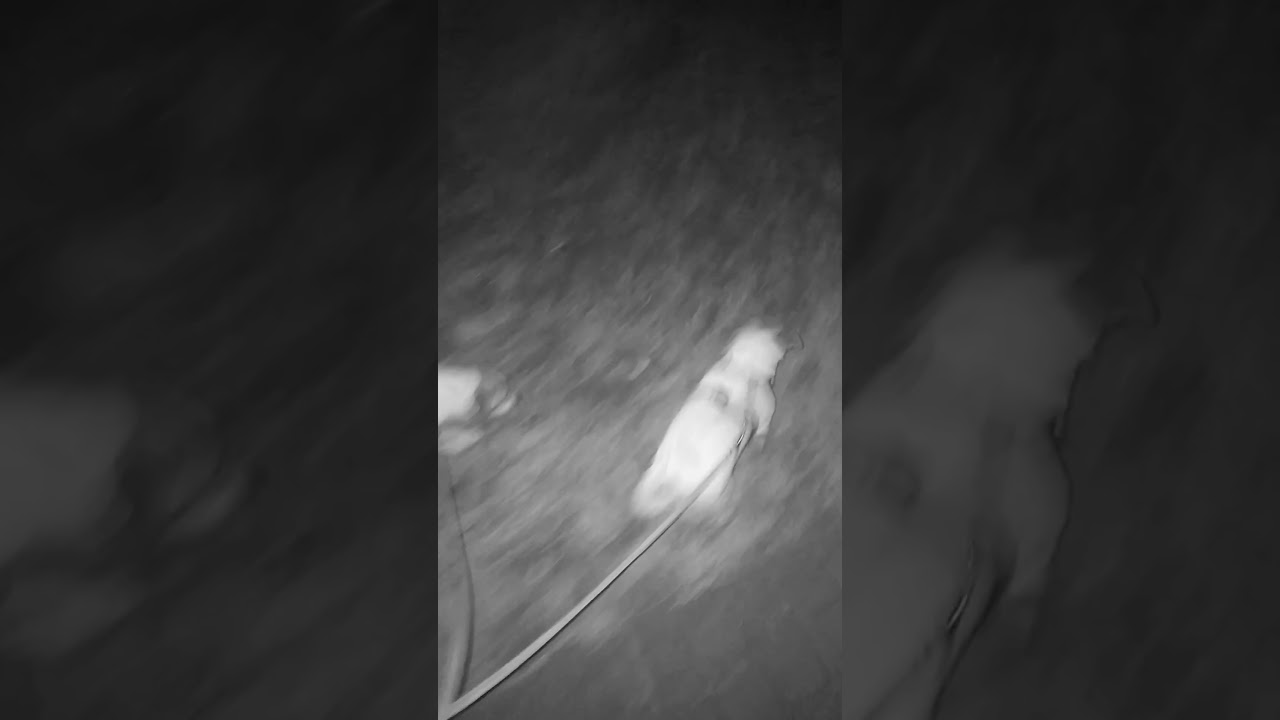 ПРИЕХАЛИ НА КАТОК. НОЧЬ ПОСЛЕ ЗАБРОШКИ 