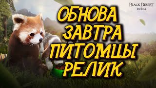 Black Desert Mobile 🎄 ОБНОВЛЕНИЕ НА ЗАВТРА 🎄 screenshot 4