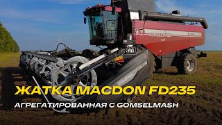видео: А ВЫ ТАКОЕ ВИДЕЛИ? Комбайн GOMSELMASH агрегатированный с жаткой MACDON FD235 в Алтайском крае картинка: А ВЫ ТАКОЕ ВИДЕЛИ? Комбайн GOMSELMASH агрегатированный с жаткой MACDON FD235 в Алтайском крае