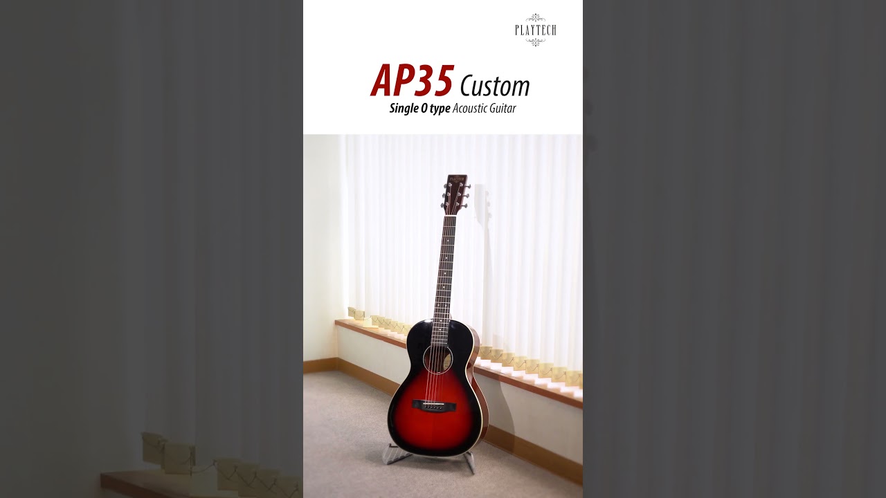 AP35 Custom シングルOタイプアコギ / PLAYTECH #サウンドハウス AP35 Custom シングルOタイプアコギ / PLAYTECH #サウンドハウス