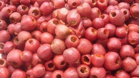 Date Pitting Machine, Fruit Coring and Pitting Machine|Automatic Date Pitting Machine