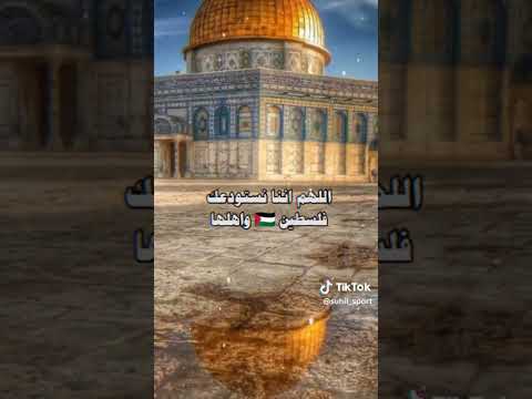 كلام المعلق خليل البلوشي عن فلسطين 