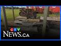 Local history at the sawmill