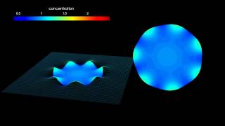 Simulation of osmotic starfish-shaped cell (ngsolve/ngs-xfem)